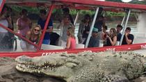 Rainforest Skywalk And Tarcoles River Eco Cruise Tour - Image 10