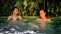 Relaxing Mineral Hot Springs Full Day Pass with Optional Lunch or Dinner