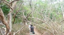 Rincón de la Vieja Hiking Adventure With Lunch