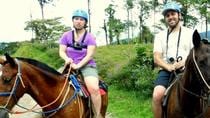 RÃo Celeste Hike and Horseback Ride