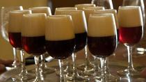 San José Beer Tasting Tour
