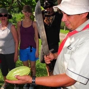 San José Tropical Rainforest Adventure Including Chocolate Tasting