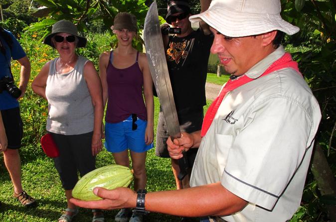 San José Tropical Rainforest Adventure Including Chocolate Tasting