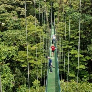 Sky Walk, Sky Tram, and Sky Trek Zip line Combo Monteverde