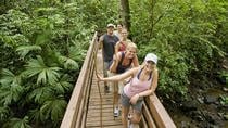 Tour: Pacific Rainforest Aerial Tram and Nature Walk Jacó