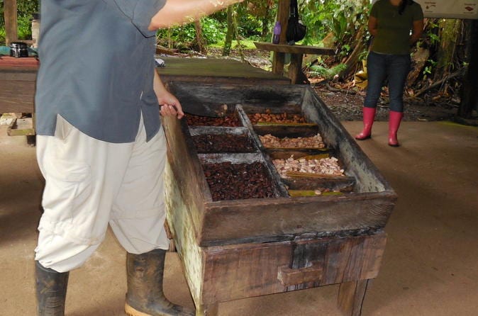 San José Tropical Rainforest Adventure Including Chocolate Tasting - Image 15