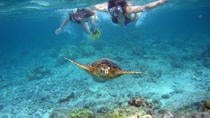 Sunset Catamaran Tour With Open Bar Playa Hermosa-Coco