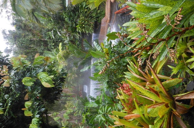 Arenal Volcano and Tabacón Hot Springs Day Trip San José - Image 16