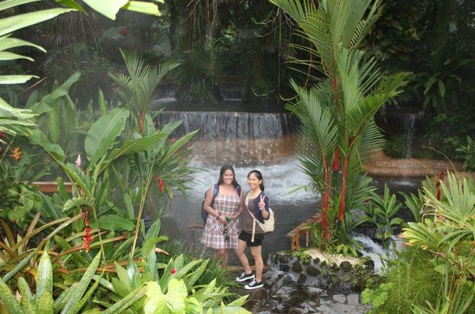 Arenal Volcano and Baldi Hot Springs Day Trip San José - Image 29