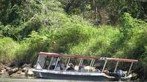 Tarcoles River Crocodile and Wildlife River Cruise