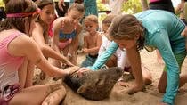 Tortuga Island - Family day