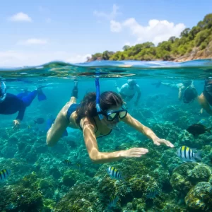 Tortuga Island guided snorkeling