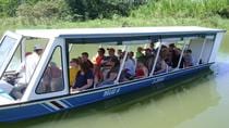 Tortuguero Canal Boat Tour: Puerto Limón