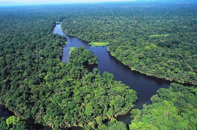 Tortuguero National Park One Day Tour