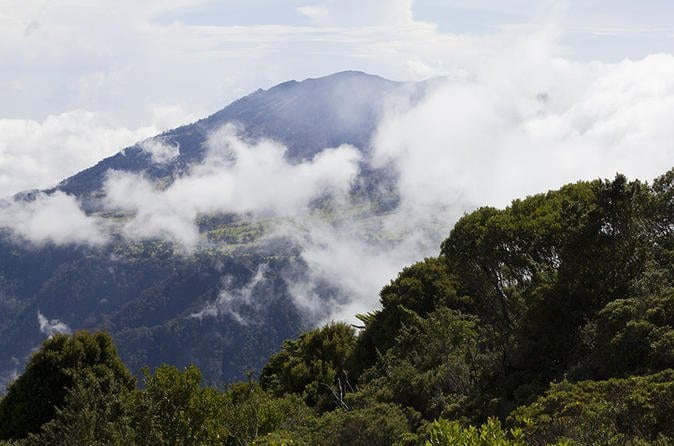 Irazu Volcano, Orosi Valley and Lankester - Image 11