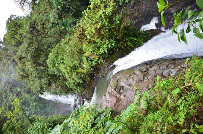 Costa Rica Day Trip San José - Image 26