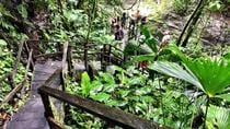 Veragua Rainforest Aerial Tram