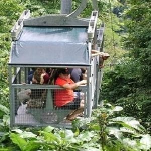 Veragua Rainforest