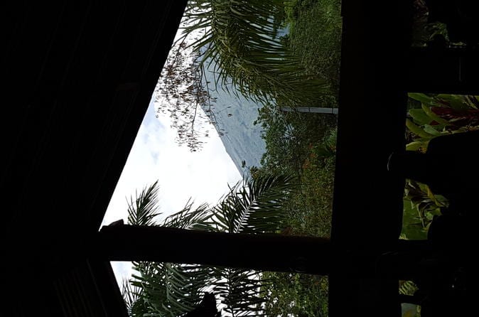 Arenal Volcano and Baldi Hot Springs Day Trip San José - Image 30