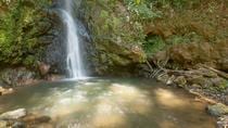Waterfall and Spa Day Tour: San José