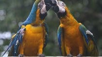 Wildlife Rescue Center Tour in Costa Rica