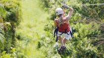 Zip line And Rainforest Aerial Tram Puntarenas