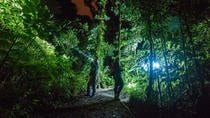 2-IN-1 Day Bird Watching And Nocturnal Walking