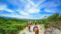 Adventure Day Combo: Rincón de la Vieja And Vida Aventura Park