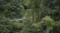 Arenal Hanging Bridges Hiking Private Tour