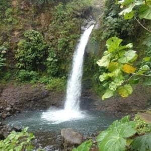 Arenal Highlights