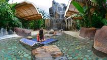 Arenal One Day And Hot Springs Jac– - Image 2