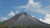 Arenal Pineapple Tour