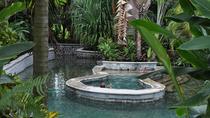 Arenal Volcano Hike And Baldi Hot Springs