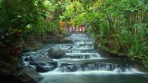 Arenal Volcano Hike And Hot Springs La Fortuna