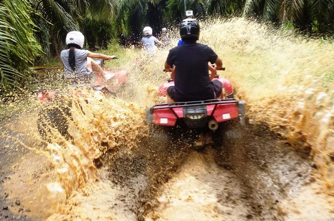 ATV And Canopy Flamingo Beach