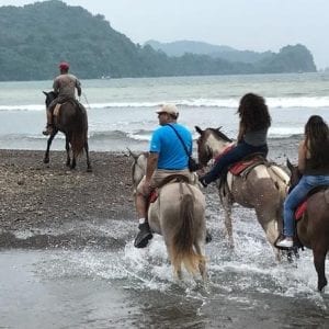 Beach & Rainforest Horseback Riding with Crocodile Boat Tour