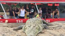 Beach & Rainforest Horseback Riding with Crocodile Boat Tour