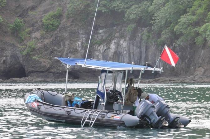 Beginner Diving Lesson With Two Tank Dives In Guanacaste