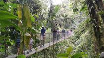 Best 4 Attractions In La Fortuna