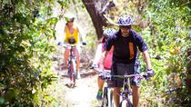 Bike Ride On Rincón de la Vieja