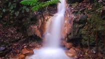 Blue Volcanic River Waterfalls And Hot Springs Mud Bath Adventure In Rincón de