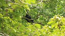 Braulio Carrillo National Park - Admission Ticket