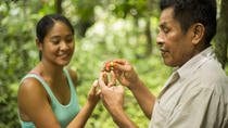 BriBri Chocolate Tour In Puerto Viejo & Cahuita National Park