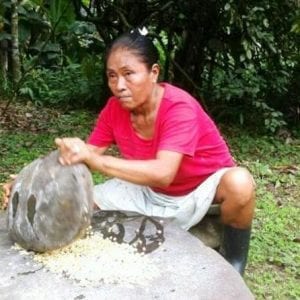 Bribri Cultural Tour With Shaman Ritual And Waterfall Hike Limón
