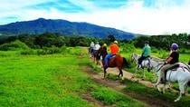 Buena Vista Combo Tour: Ziplining and Hot Springs Guanacaste