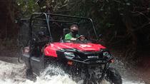 Buggy Tour Tamarindo