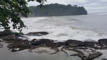 Cahuita National Park And Medicinal Plants
