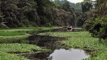 Cahuita National Park (Hiking) Plus Tortuguero Canals