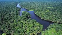 Cahuita National Park On Vargas Port, Tortuguero Canals And More!! 6 in 1 tour