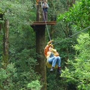 Canopy Puerto Viejo of Sarapiqu–